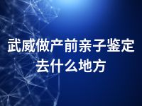 武威做产前亲子鉴定去什么地方