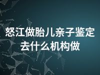 怒江做胎儿亲子鉴定去什么机构做