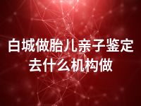 白城做胎儿亲子鉴定去什么机构做