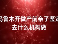 乌鲁木齐做产前亲子鉴定去什么机构做