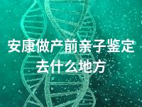 安康做产前亲子鉴定去什么地方