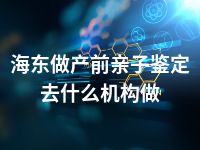 海东做产前亲子鉴定去什么机构做