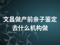 文昌做产前亲子鉴定去什么机构做