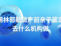 锡林郭勒做产前亲子鉴定去什么机构做