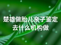 楚雄做胎儿亲子鉴定去什么机构做