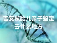 吉安做胎儿亲子鉴定去什么地方