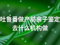 吐鲁番做产前亲子鉴定去什么机构做