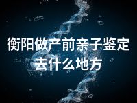 衡阳做产前亲子鉴定去什么地方