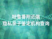 吐鲁番附近做隐私亲子鉴定机构查询