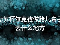 克孜勒苏柯尔克孜做胎儿亲子鉴定去什么地方