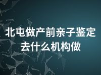 北屯做产前亲子鉴定去什么机构做