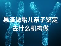 果洛做胎儿亲子鉴定去什么机构做