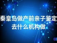 秦皇岛做产前亲子鉴定去什么机构做