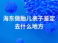 海东做胎儿亲子鉴定去什么地方