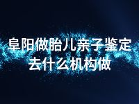 阜阳做胎儿亲子鉴定去什么机构做