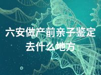 六安做产前亲子鉴定去什么地方