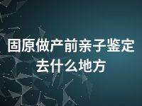 固原做产前亲子鉴定去什么地方