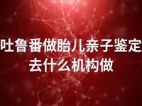 吐鲁番做胎儿亲子鉴定去什么机构做