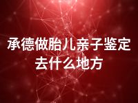 承德做胎儿亲子鉴定去什么地方