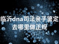 临沂dna司法亲子鉴定去哪里做正规