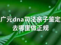 广元dna司法亲子鉴定去哪里做正规