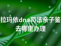 克拉玛依dna司法亲子鉴定去哪里办理