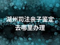 湖州司法亲子鉴定去哪里办理