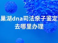 巢湖dna司法亲子鉴定去哪里办理