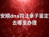 安顺dna司法亲子鉴定去哪里办理