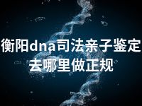 衡阳dna司法亲子鉴定去哪里做正规