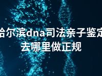 哈尔滨dna司法亲子鉴定去哪里做正规