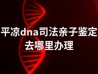 平凉dna司法亲子鉴定去哪里办理