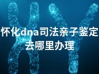 怀化dna司法亲子鉴定去哪里办理