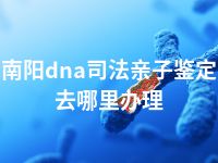 南阳dna司法亲子鉴定去哪里办理