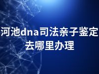 河池dna司法亲子鉴定去哪里办理