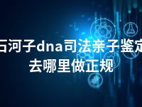 石河子dna司法亲子鉴定去哪里做正规