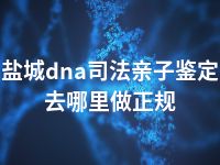 盐城dna司法亲子鉴定去哪里做正规