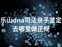 乐山dna司法亲子鉴定去哪里做正规