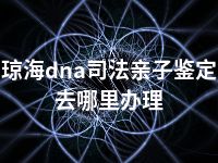 琼海dna司法亲子鉴定去哪里办理