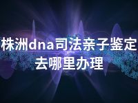 株洲dna司法亲子鉴定去哪里办理