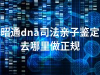 昭通dna司法亲子鉴定去哪里做正规