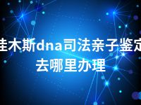 佳木斯dna司法亲子鉴定去哪里办理