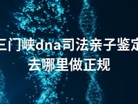 三门峡dna司法亲子鉴定去哪里做正规