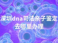 深圳dna司法亲子鉴定去哪里办理