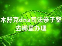 图木舒克dna司法亲子鉴定去哪里办理