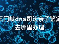 三门峡dna司法亲子鉴定去哪里办理