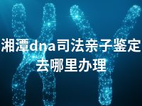 湘潭dna司法亲子鉴定去哪里办理