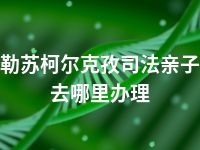 克孜勒苏柯尔克孜司法亲子鉴定去哪里办理