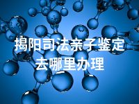 揭阳司法亲子鉴定去哪里办理