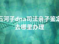 石河子dna司法亲子鉴定去哪里办理